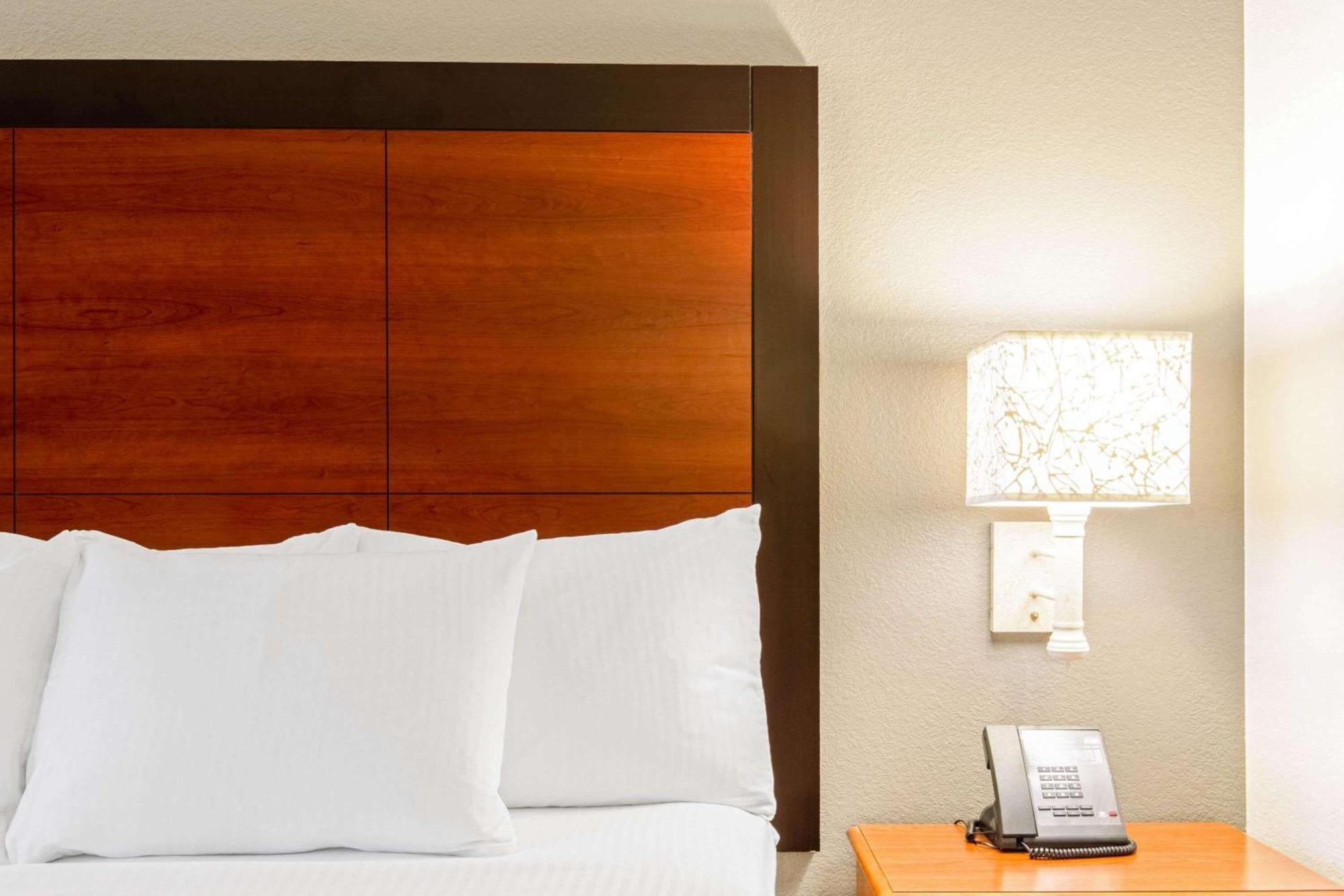 מלון La Quinta By Wyndham San Antonio Airport מראה חיצוני תמונה